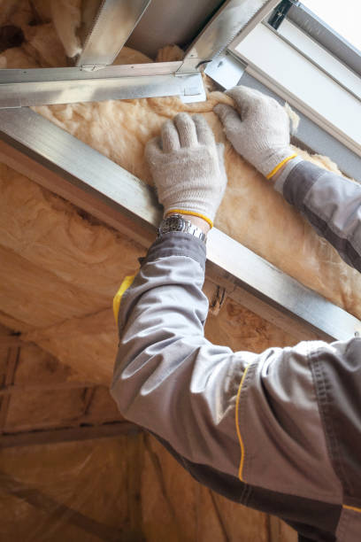 Best Residential Insulation Services  in Yuma, AZ