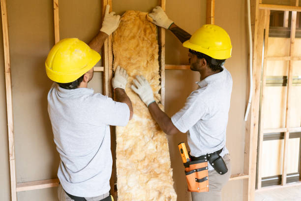 Best Insulation Contractor Near Me  in Yuma, AZ
