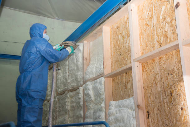 Best Insulation for New Construction  in Yuma, AZ